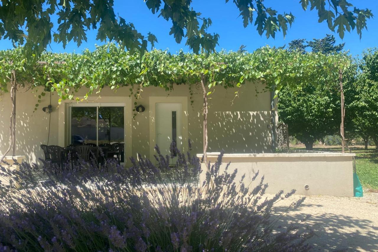 Le Ribbou Villa LʼIsle-sur-la-Sorgue Dış mekan fotoğraf