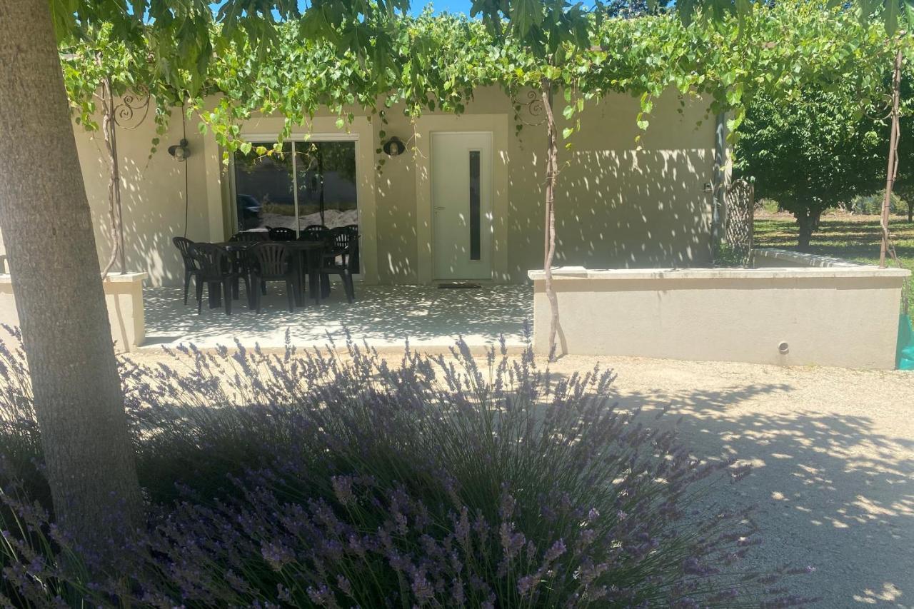 Le Ribbou Villa LʼIsle-sur-la-Sorgue Dış mekan fotoğraf